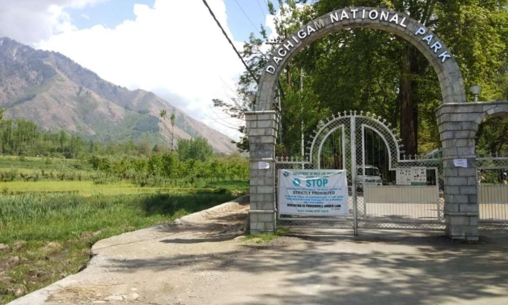 Dachigam National Park